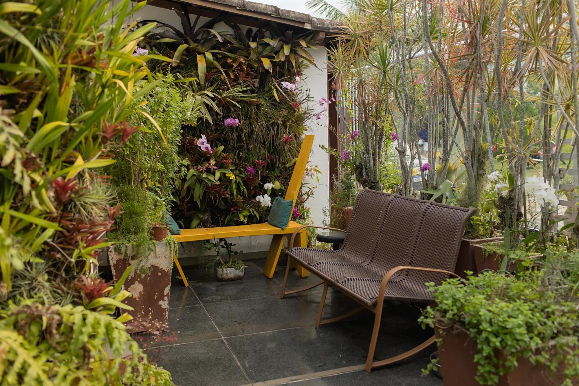 ホテル Orquidea Cafe グアラパリー エクステリア 写真
