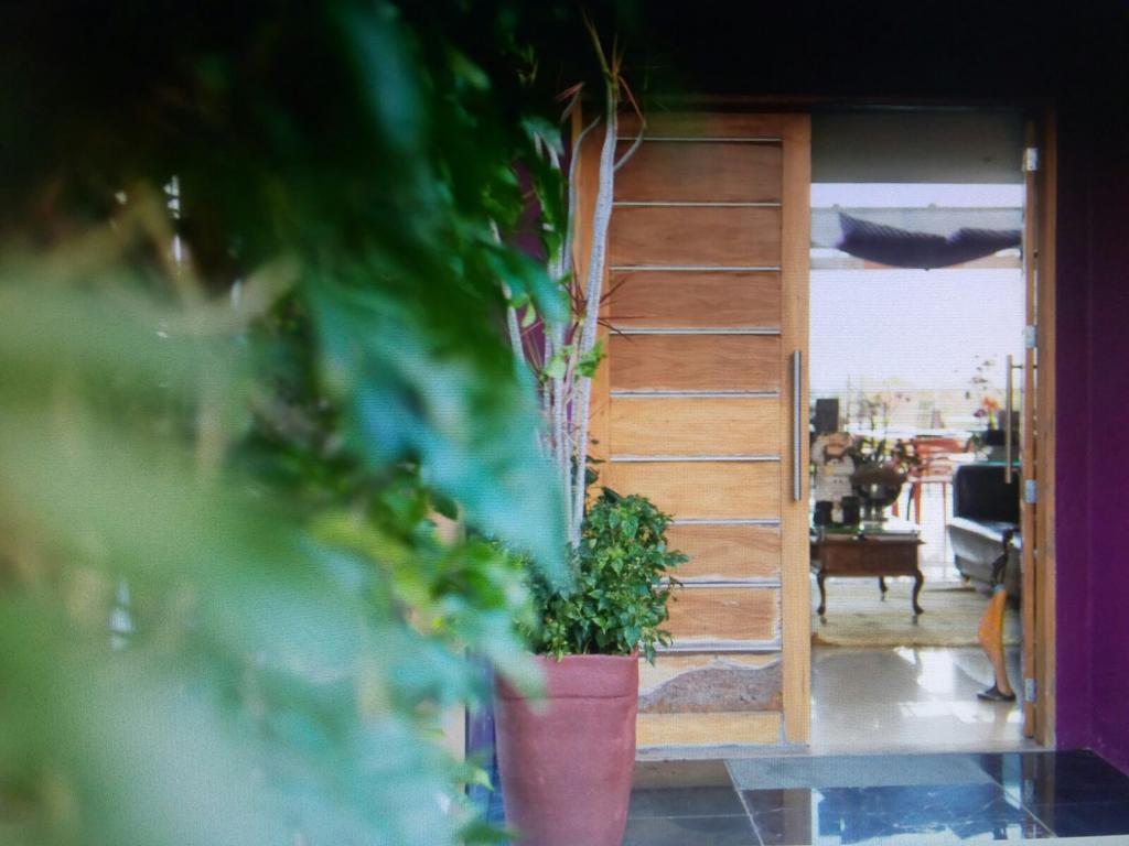 ホテル Orquidea Cafe グアラパリー エクステリア 写真