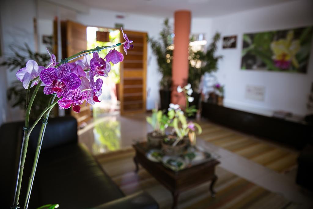 ホテル Orquidea Cafe グアラパリー エクステリア 写真